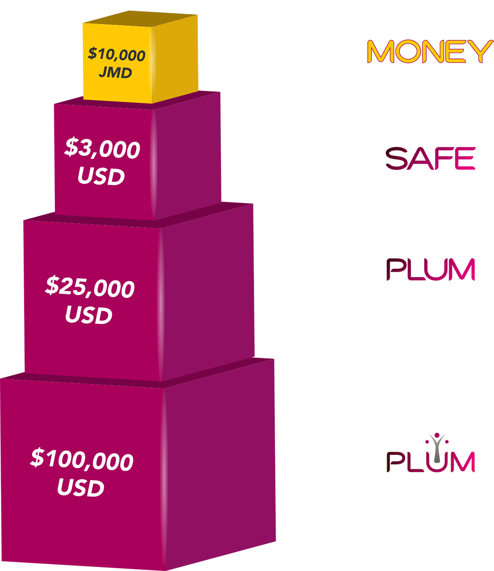 SSL Invest Minimum Investments Graphic