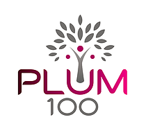 Plum personal plan investment options
