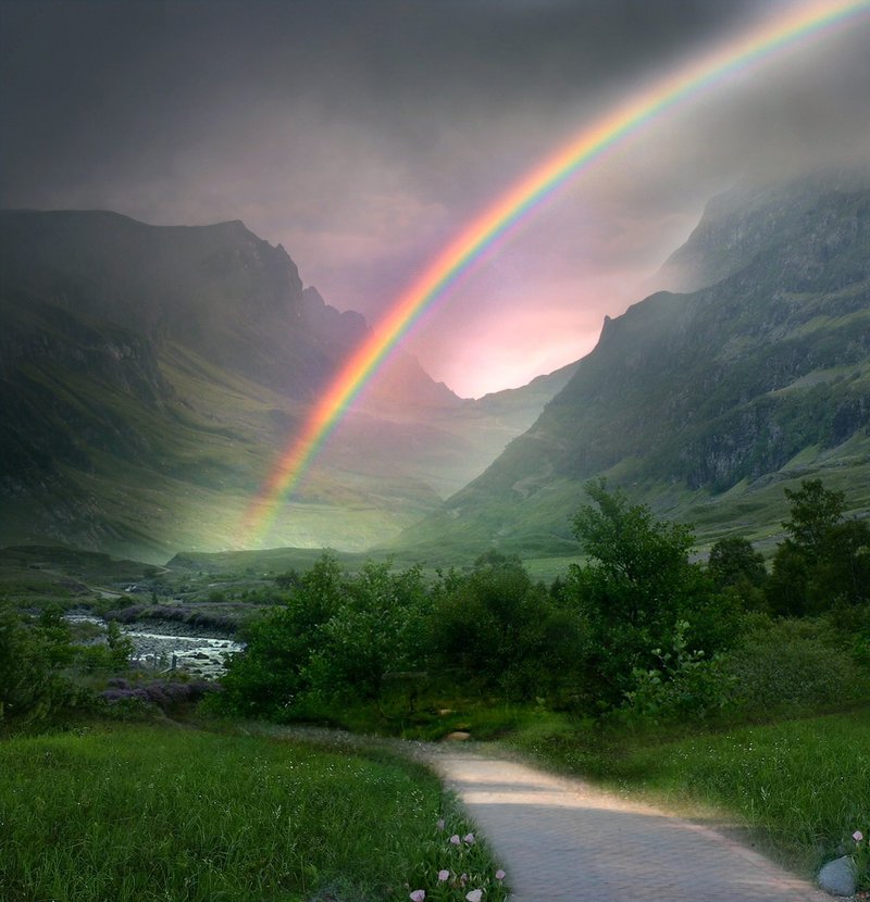 Beautiful rainbow in the fields depicting Market success